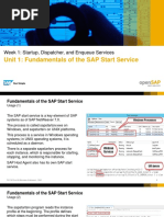 OpenSAPStartup, Dispatcher, and Enqueue Services