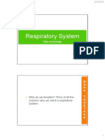 Respiratory System