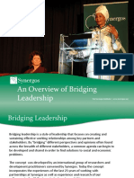 Synergos Bridging Leadership Overview
