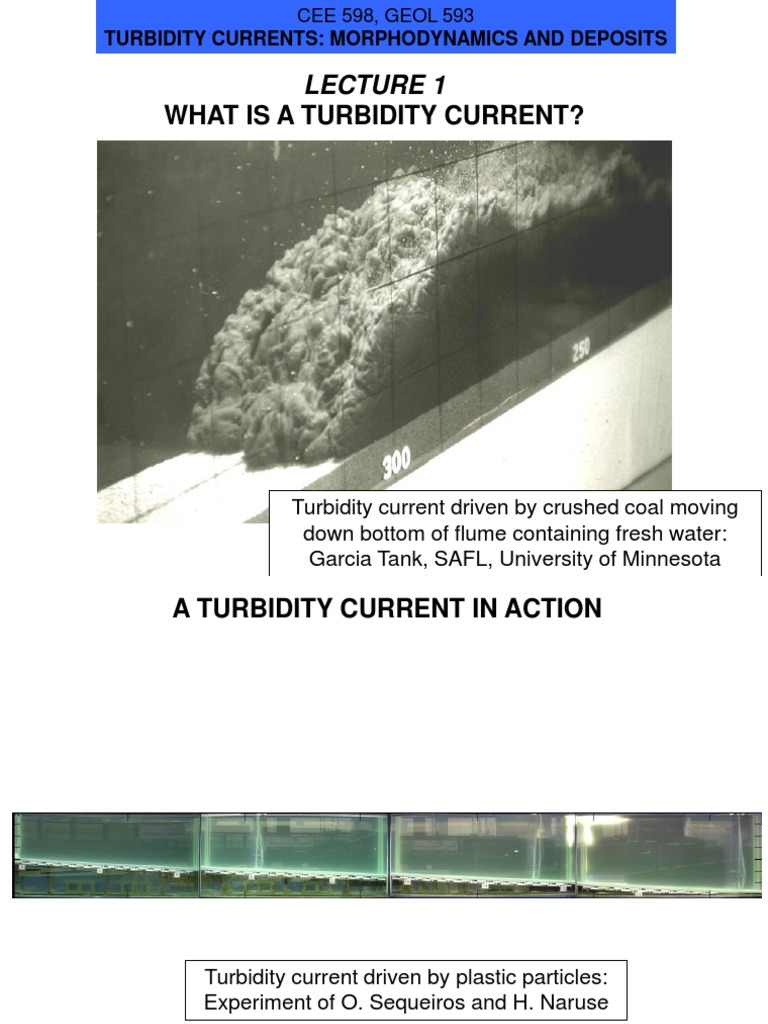 Understanding Turbidity Currents | PDF | Black Sea | Density
