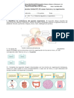 Evaluación Ciencias Naturales sistema Respiratorio y respiratorio.doc