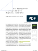 Desarrollo y Fisiologia de Raices PDF