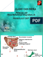 SALIVA GLAND DAN INDRA PENGECAP - Copy.pptx