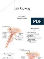 Pain Pathway: Presented By: Roland E. Mallarez