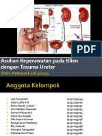 Trauma Ureterganti Manifes