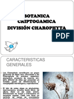 Charophyta 110411105141 Phpapp01