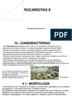 Procariotas 2 PDF