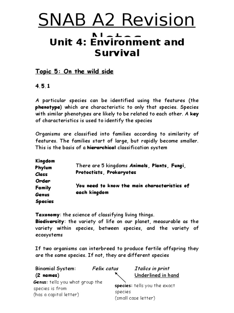 Essay on virus in computer picture