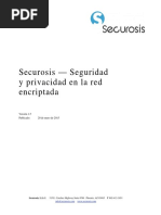 ES - Securosis_SecurityPrivacyEncryptedNetwork_FINAL.pdf