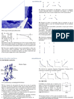 2006 - 1 Nucleo Comun