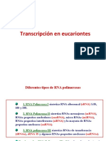 Transcripcion.pdf