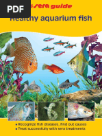 RG Gesunde Aquarienfische US PDF