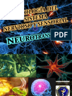 Seminariodefisiologa Neurotransmisores 120926085429 Phpapp02