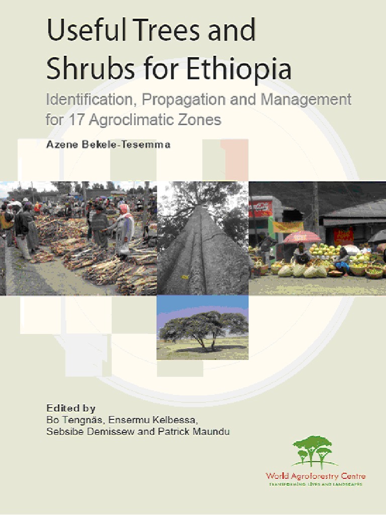 Useful Trees Ethiopia PDF Plant Nursery Seed