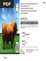 Higgens_Cat Corte Europeu 2016_bx