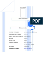 Formato Hoja Vida