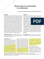 Bases Moleculares de Las Acciones de La Insulina