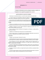 ensayo 01.pdf