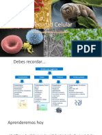 06_Diversidad-Celular.pdf