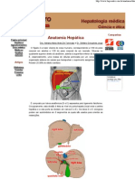 Anatomia Hepática