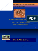 Diagnosis Dan Penatalaksanaan Chikungunya
