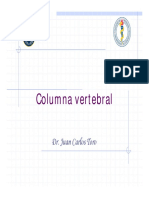 Vertebras y Columna