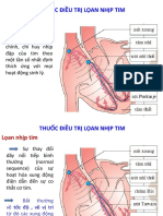 Thuoc Điều Trị Loạn Nhịp Tim