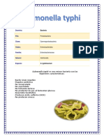 Salmonella typhi 123.docx