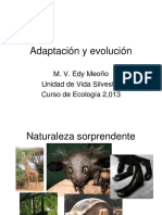 Adaptacion y Evolucion.