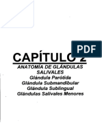 Anatomia de Las Glandolas