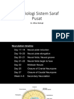 Embriologi Sistem Saraf Pusat