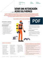 Ficha Acido PDF