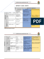 MATRIZ 1