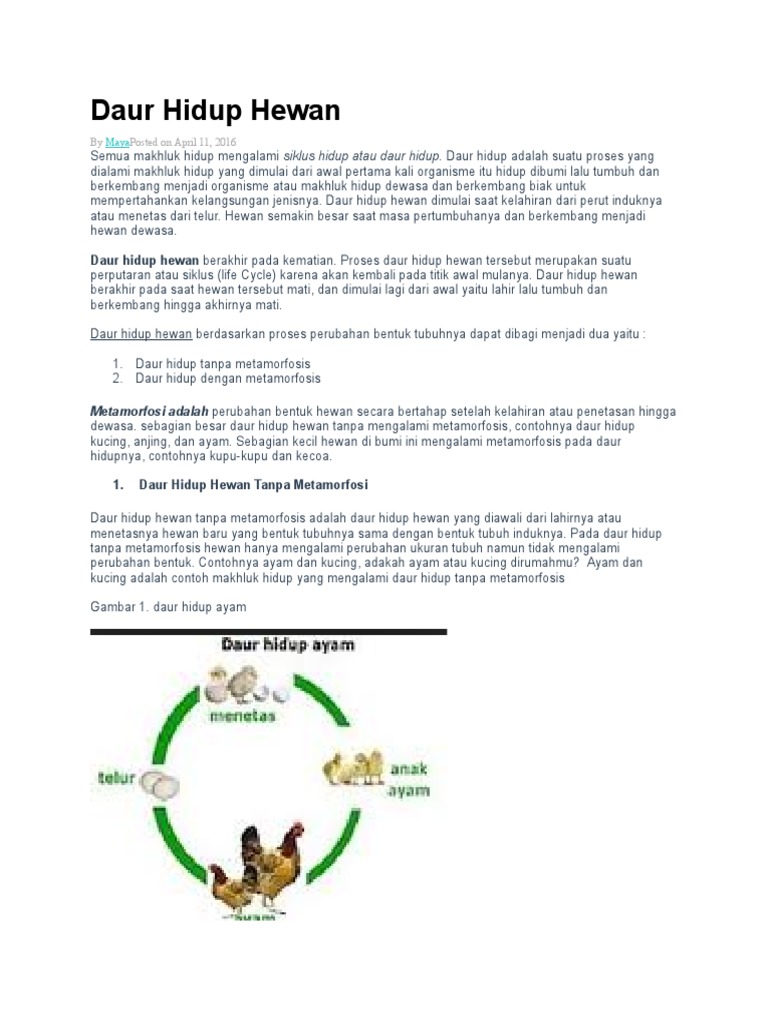 11++ Hewan yang mengalami daur hidup tanpa metamorfosis brainly update
