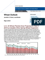 Wheat Outlook 