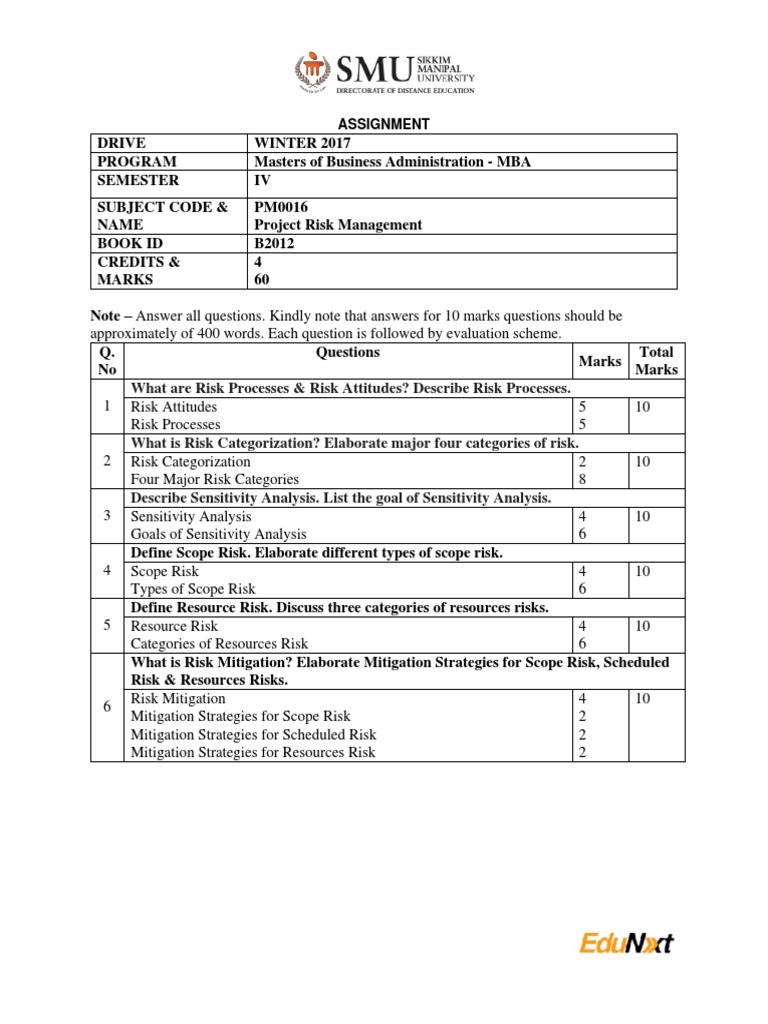 MBA Project Risk Management Assignment | PDF