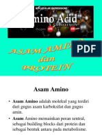1.1. Asam Amino