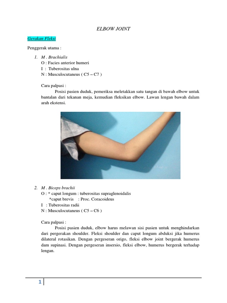 Elbow Joint Pdf