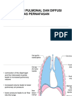 Ventilasi Pulmonal Dan Diffusi Gas Pernafasan