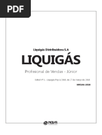 liquigas_profissional_de_vendas_-_j_nior.pdf
