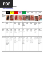 Algoritmo Das Feridas