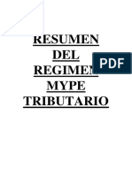 RESUMEN MYPE