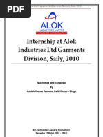 Apparel Internship at Alok Report