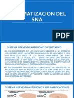 Sistematización Del SNA