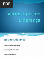 Vários Tipos de Liderança