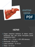 Anatomi Hepar
