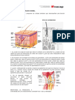 Guia Estudio Tejidos