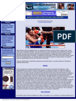 Boxeo La Ejecucion Tecnica Del Golpeo PDF