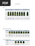 Grados y Rangos del Ejército de Chile | PDF | Oficial general | Alférez