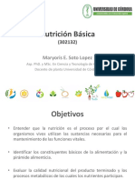 Nutrición Básica: Pirámide Alimenticia y Constituyentes